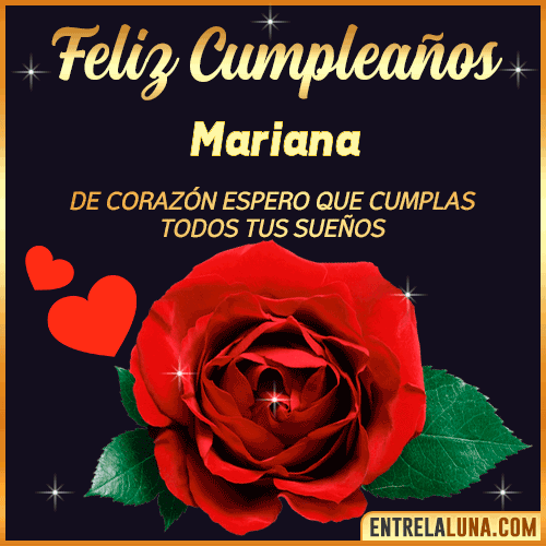 Feliz Cumpleaños con Rosas  Mariana